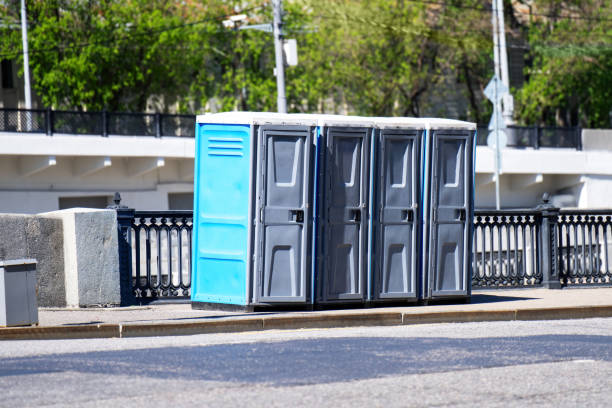 Best Luxury portable toilet rental  in Meadow Les, AK